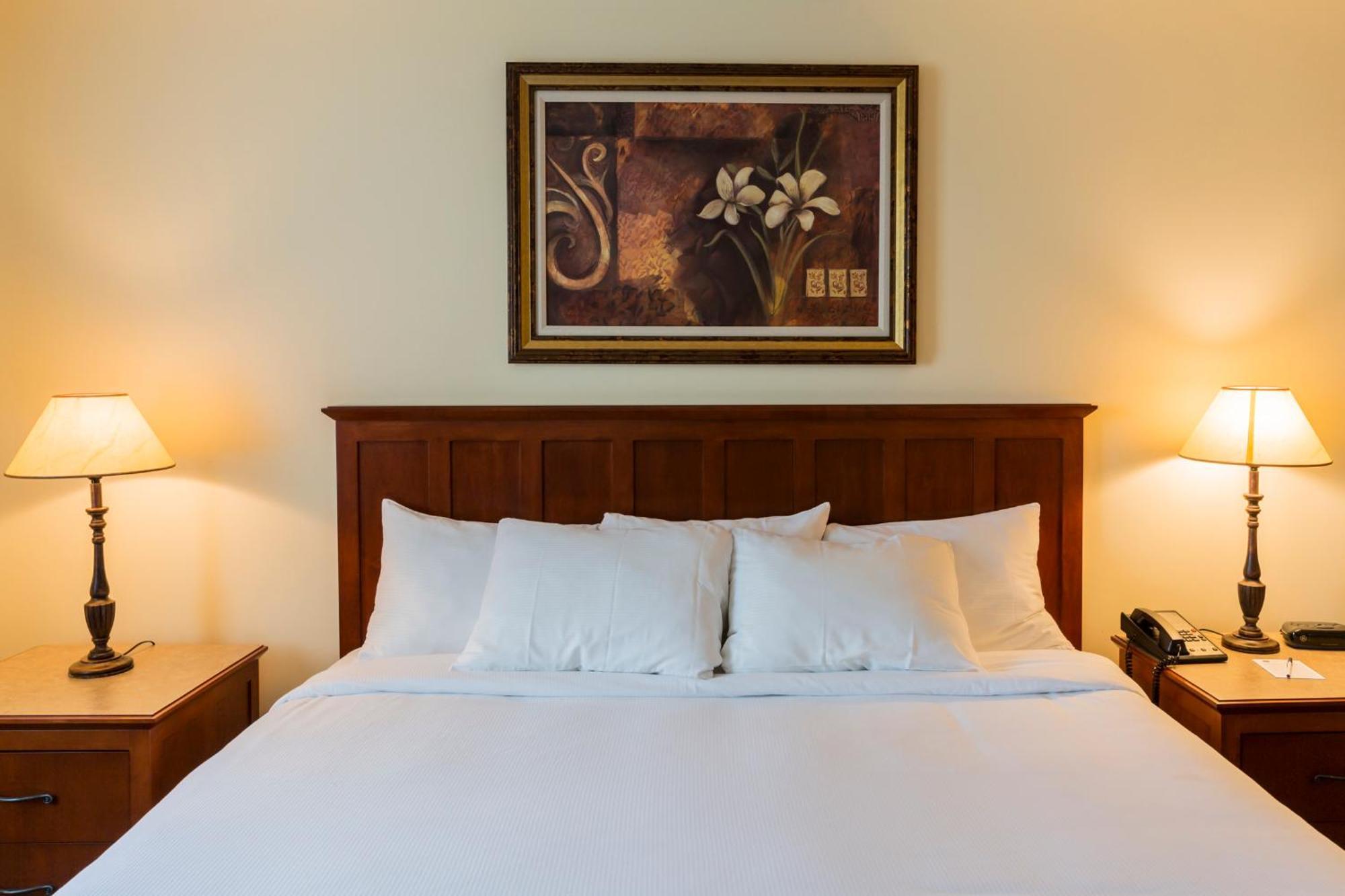 Hotel St-Bernard Saint-Bernard-de-Lacolle Eksteriør billede
